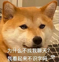 镜子里的M采集到N 表情包