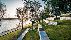 虫声泣露_采集到· Landscape | 场地 | 滨水景观
