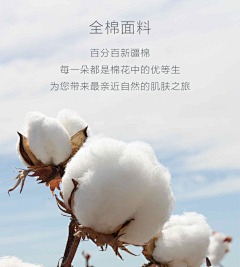 看不穿*繁华满世采集到面料工艺