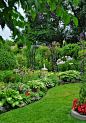 Three Dogs in a Garden: 