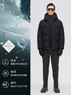 CD-Designer采集到直通车