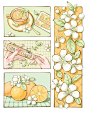 水彩分镜插画｜柑橘调用橙花怀念秋天