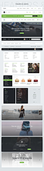 Radish UI kit : Radish is a large and multifunctional Interface kit. It is an easy and clear way to developpowerful projects with bright design funny and quickly.