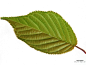勶_057_1024_768