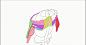 005B0t7bly1haa9aqq138g30hs09cabx