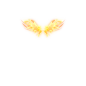 Comp 13_00000