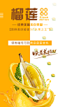 泰国榴莲海报设计