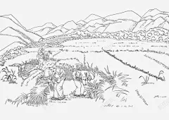 手绘白描插图收割麦子场景 页面网页 平面电商 创意素材