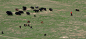 13859713_13859713_1347637133328.jpg (3636×1656)