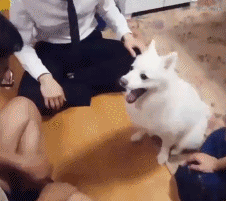 微博段子，每天精品段子站