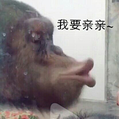 Y墨城采集到表情包