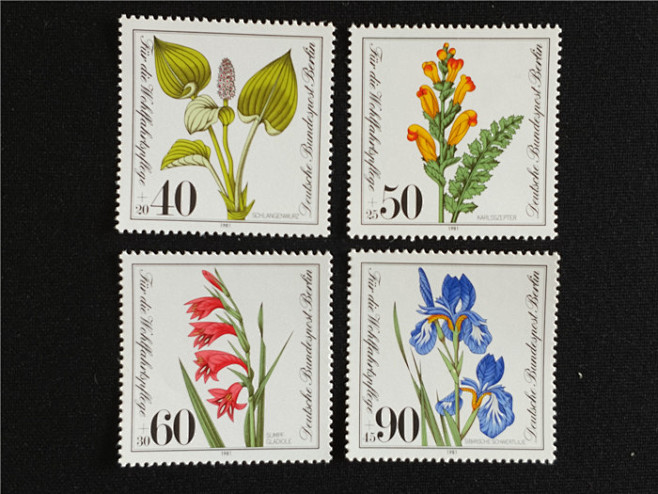 西柏林1981年社会福利·濒危植物花卉4...