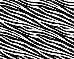 式样,斑马,动物皮,纺织品,虎,条纹,壁纸,黑白图片