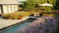 Summer Residence