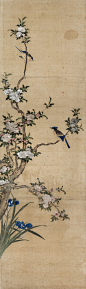 古画-花卉参考