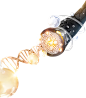 a26d56f81c8e5de3c8934d8a8b69116df9b4ca0cf4b4c-xIbe7a_fw658webp