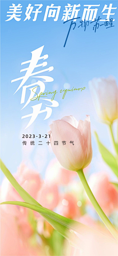 珍贞采集到节点刷屏