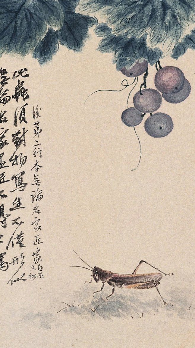 来自相册