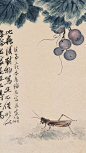 来自相册