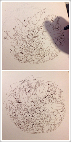 liny2859采集到铅笔绘 花