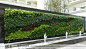 西安室内外生态植物墙设计制作给您最满意的绿植墙_(第2页)_陕西慕尚生态园林科技有限公司