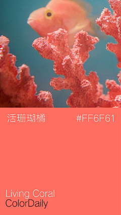 爽~歪歪采集到色彩搭配