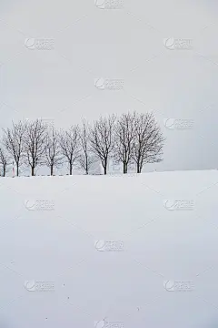 雪地上覆盖着融雪剂