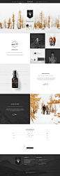 Hydrus Web Design Inspiration by naughtyrobot