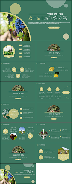 小北没烦恼采集到农产品推广ppt