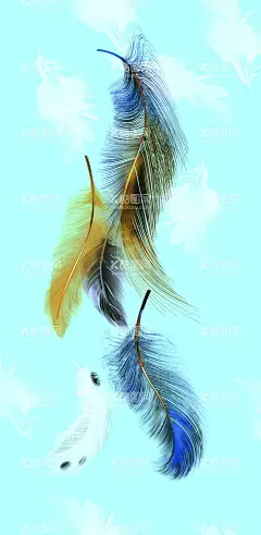 羽毛  - 源文件下载【酷图网】羽毛,天空,毛,孔雀毛,白毛,