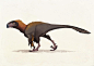 Utharaptor