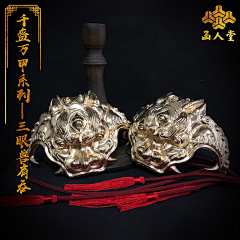 时鱼采集到盔甲
