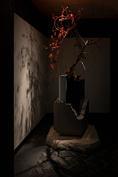celosia采集到B-asian garden