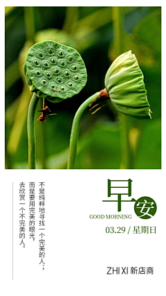 KEMOSTM采集到每日练习