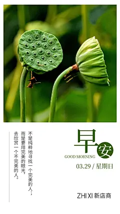 早安图  早安心语  早晚安 组图