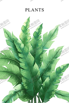 suxiaoxiao51采集到平面广告