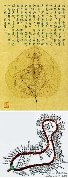 黑光暗华采集到生活
