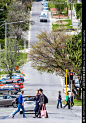 新西兰皇后镇 南岛风景 城市街道 树木植物 绿化植被 行人游客 车辆停泊 红绿灯路口 旅游观光 度假胜地