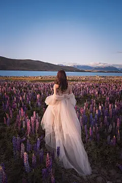 我的新西兰婚纱照拍成了壁纸｜鲁冰花海 - 小红书