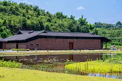 三鱼萌狮文化村，成都 / 赛肯思-7