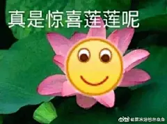 姐妹求助：想要一些沙雕emoji的表情包[喵喵... 来自表情包 - 微博
