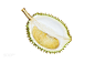 Fresh durian, tropicalfruit, king of fruit