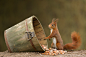 Photograph oooops, did I just do that? by Edwin Kats on 500px