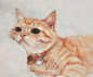 想要一只小橘猫(◍ ´꒳` ◍)

三福霹雳马＋获多福细纹

手绘超话#彩铅##彩铅手绘##手绘彩铅画##喵星人##手绘##画猫##日常吸猫##我爱彩铅画# ​​​​