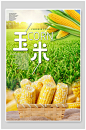 优质玉米食材促销宣传海报