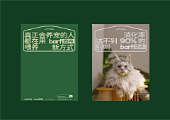 陈甄儿采集到新-详情页