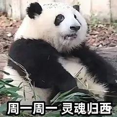 分享一下花花的表情包