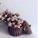 一条鱼名字很多人用啊