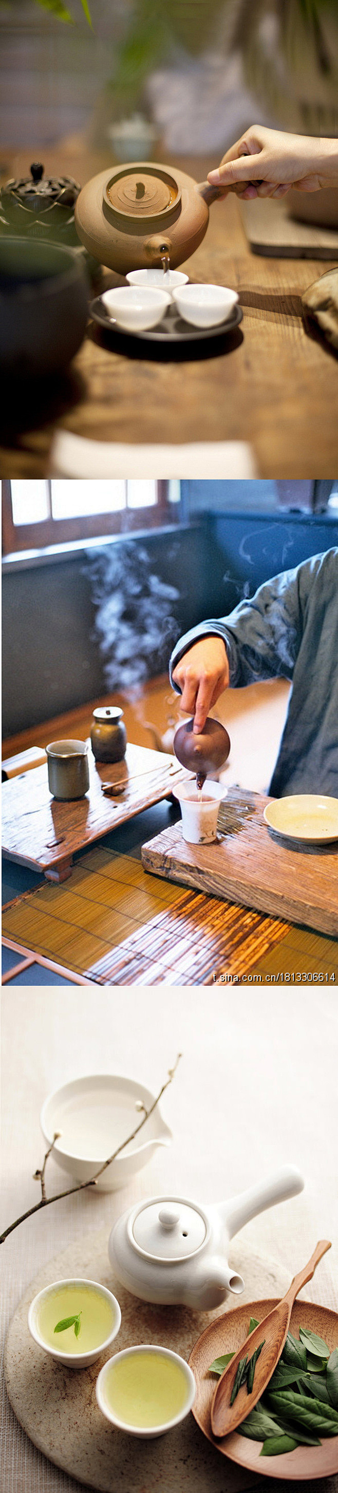 茶意境，毛尖茶，茶具摄影