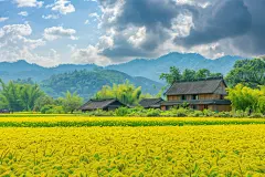 乡村风景自然风景壁纸